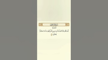 سورة المنافقون .. إسلام صبحي أجر لي ولكم 🤍🤲🏻