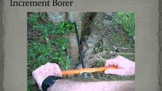 Forester's Tools: A Conceptual Dictionary