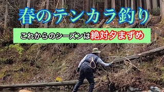 「テンカラ釣り」夕まずめの魅力！