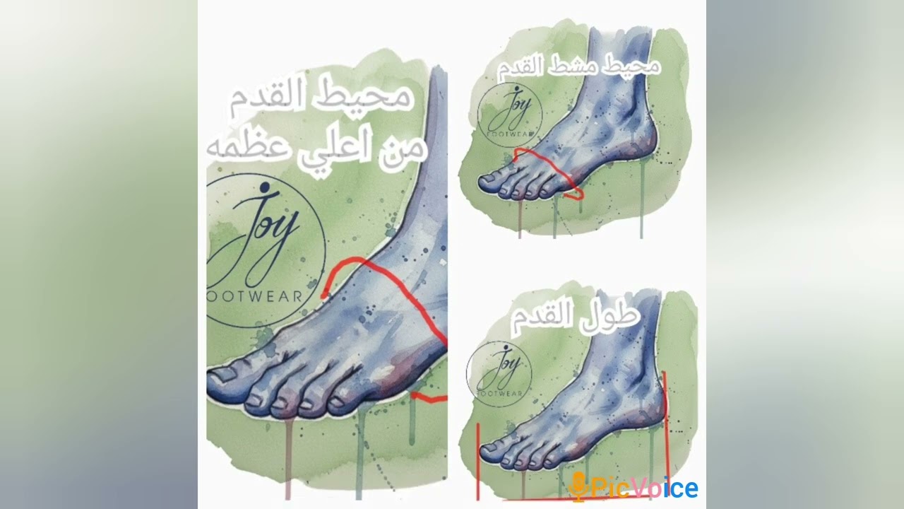 لو عندك مشكله في طلب مقاس الحذاء صح من علي النت.   بتبيع و بيرجعلك علشان المقاس مش مظبوط شوف الفيديو