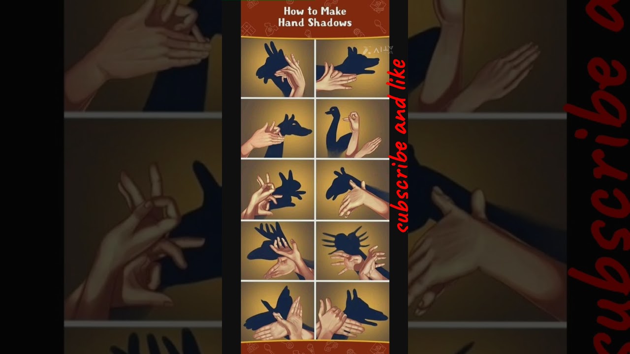 SHADOWS  || how to make hand shadows hand  art || ,animal 