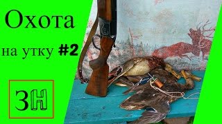 Охота на утку в 2016 #2.Осенняя охота. Охота на утку в 2016 #2.Осенняя охота.