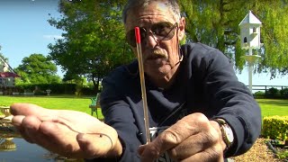 How to Float Fish: Beginner Fishing Tips