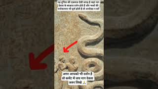 There Is A Direct Vision Of The Serpent God Legendbholenath32