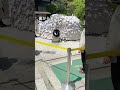 怖いくらい悪縁が切れる神社!願い事をする時は注意…