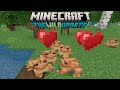 Frogs Are POG! Minecraft 1.19 Wild Update