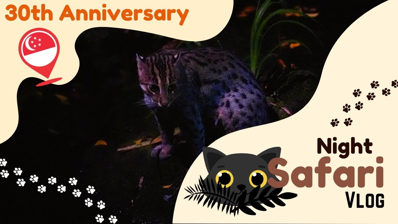 Celebrating 30th Anniversary Singapore Night Safari 2024