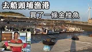 全面禁止流刺網，可乎？撐過淡季，船頭埔漁港終於又有魚可以買了，灑花！