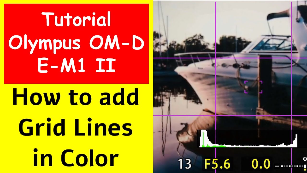 Olympus OM-D E-M1 Mark II: How to do Color Grid Lines ep.219 - YouTube