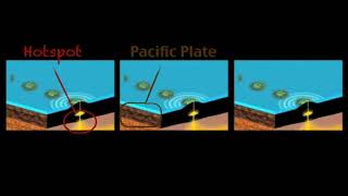 The Hawaiian Hot Spot and the Pacific Plate