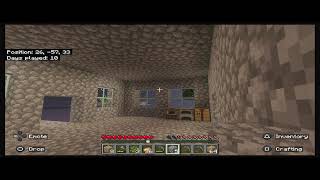 Minecraft chilling on PinkRushLive's Skyblock world/server