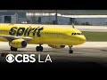 Spirit Airlines could stop operating this weekend after government bailout talks stall
