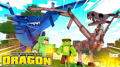 Tiny Turtle How to train your dragon continuation