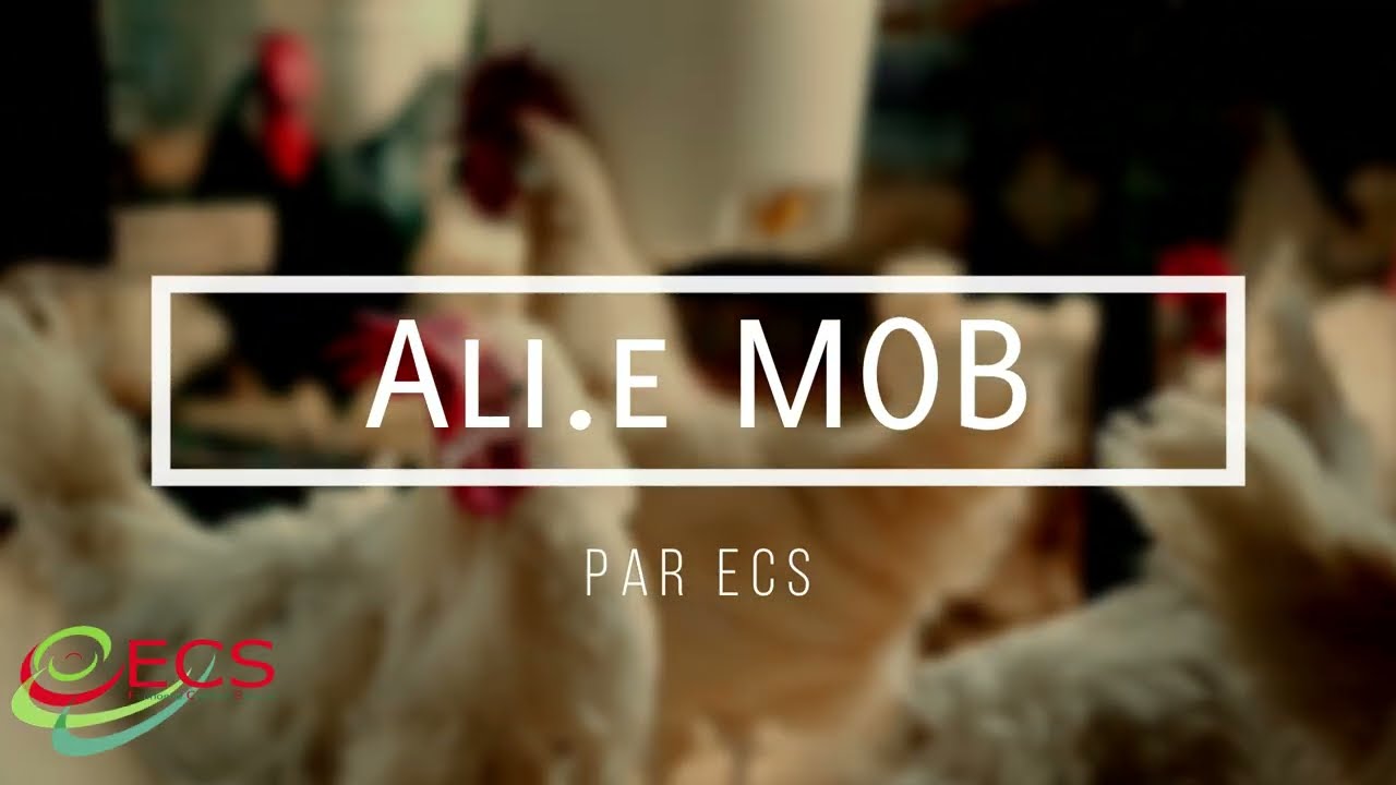 Ali.e MOB – Brouette Distributrice Électrique | Volailles | ECS