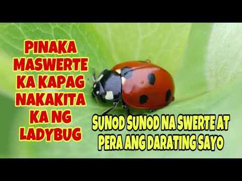 PINAKA MASWERTE KA