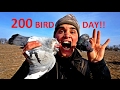 Epic Pigeon Hunting! Funnest Hunt of my Life FT. Andrew Flair