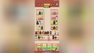 Goods Sorting Level 74 Solution Walkthrough 