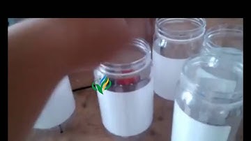 Round jar table top labeling machine manual adhesive labeler Halbautomatische Etikettiermaschine