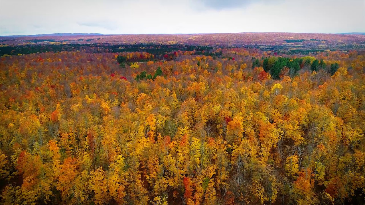 DNR buys 2,000plus acres of land in northern Michigan