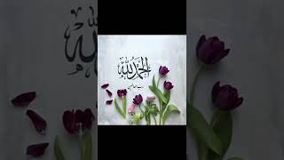 Download Lagu Alhamdulillah dp pic #shorts #shortvideo #viralshorts #youtubeshorts #alhamdulillah MP3