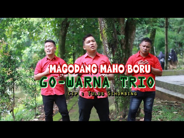 GO-WARNA TRIO - MAGODANG MA HO BORU | LAGU BATAK TERBARU 2024 | LAGU BATAK PALING LARIS class=