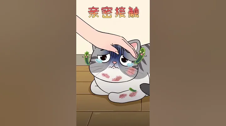貓咪得貓癬，該怎麼辦？準備好長期作戰，不要輕易放棄貓咪哦！［貓咪知識］有貓真好 - 天天要聞