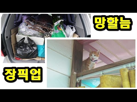 <strong>번개시장</strong> 장픽업, 사고뭉치 만두