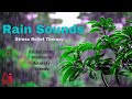 Rain Sounds | Relaxation | Meditation | Deep Sleep | Autogenic Training | White Noise | 3 hours