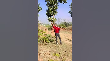 Thumbnail of Phalibar male ha #shortsfeed #trending #dance #oldisgold #vairalshort #youtubeshort
