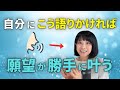 【引き寄せの真実】願いが自然に叶い始めるたった一つの習慣
