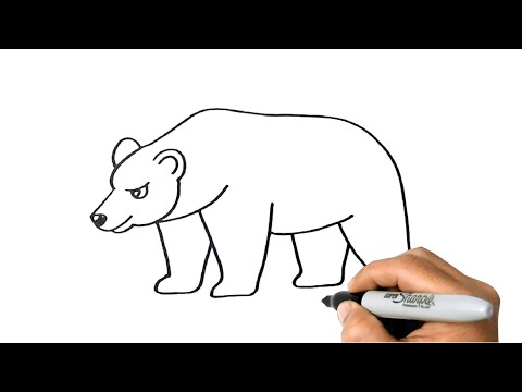 How to Draw GRIZZLY BEAR Easy Step by Step