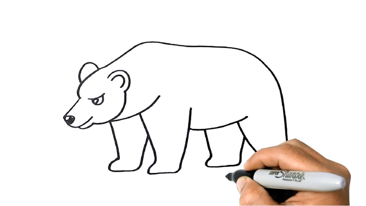 How to Draw GRIZZLY BEAR Easy Step by Step YouTube