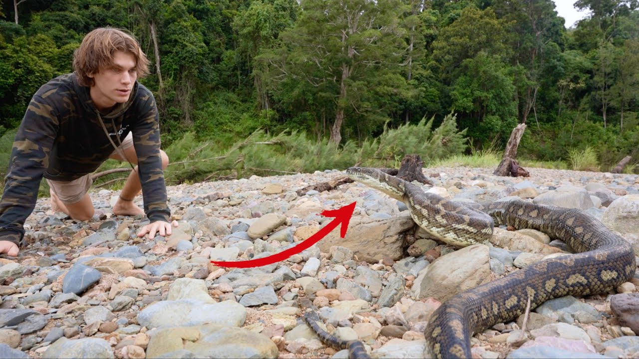 5 Days Solo SNAKE ISLAND Survival | No Food, Water, or Shelter