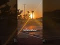 That California Sunset 🌴✨ + Red Hot Chili Peppers vibes 🎶