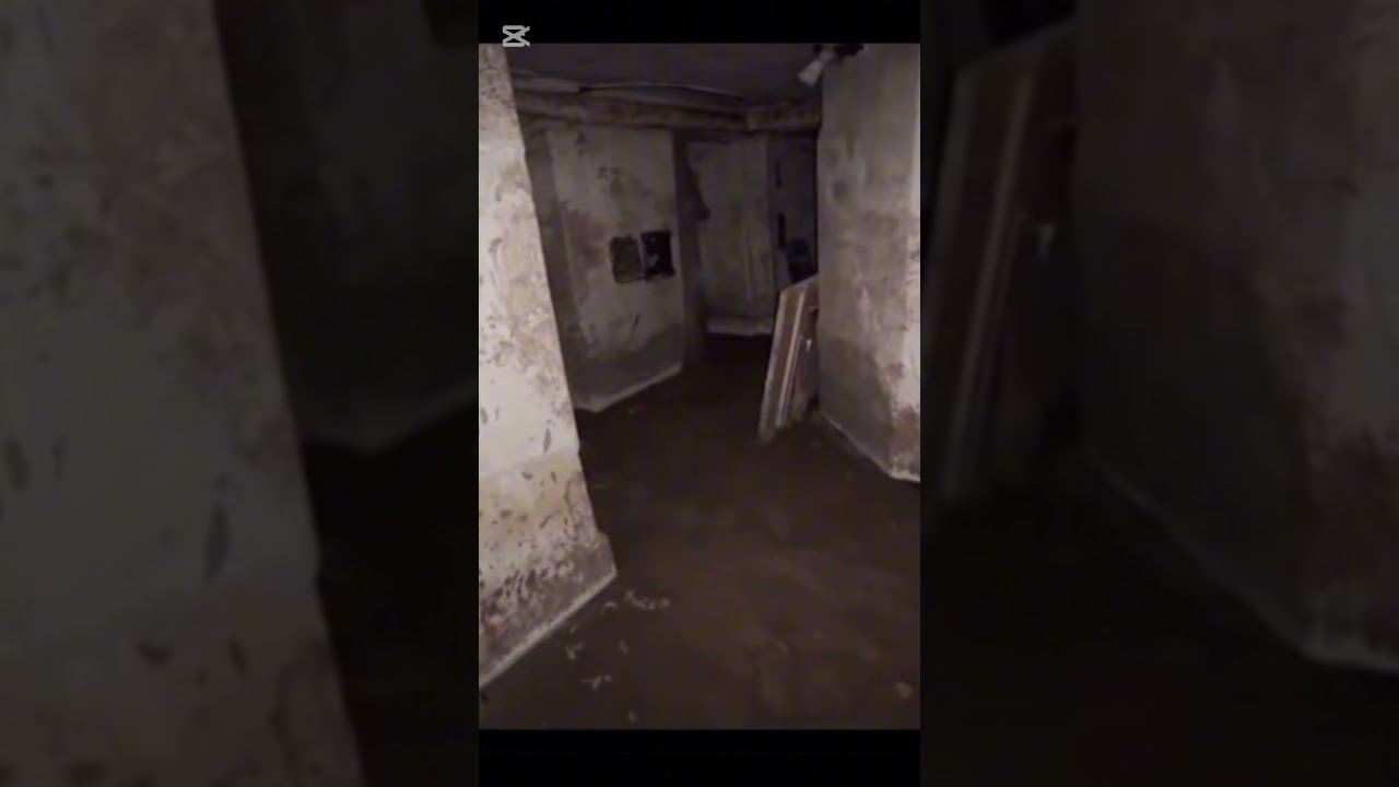 proyecto Abigail 👹🎥👹🎥👹 