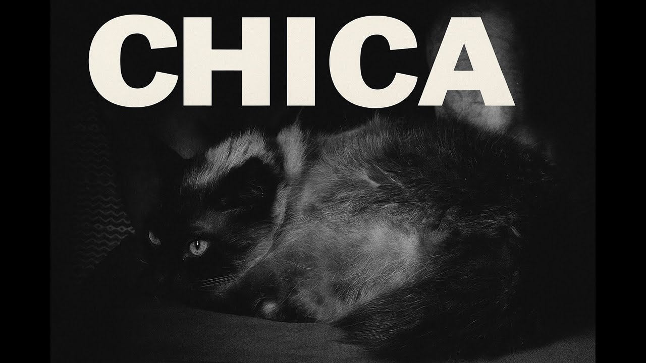 TF2: SHRK-BLVO-SM-RBCO