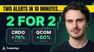 Details The Dashboard Fired Two Alerts In 10 Minutes, Both Options Ran 60%+ News