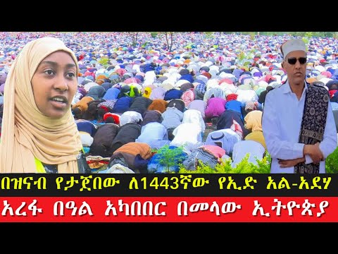 ቪዲዮ: MetLife ስታዲየም፡ የጉዞ መመሪያ በኒውዮርክ ላሉ ግዙፍ ጨዋታ