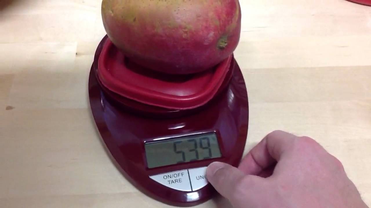 Eatsmart Precision Premium Digital Scale Unboxing and Review 