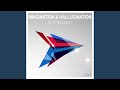 Imagination &amp; Hallucination (Full Imagination)