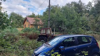 Abandoned House Of Death In Forest