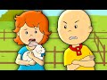 Caillou&#39;nun Tavşanı | Caillou Türkçe - WildBrain