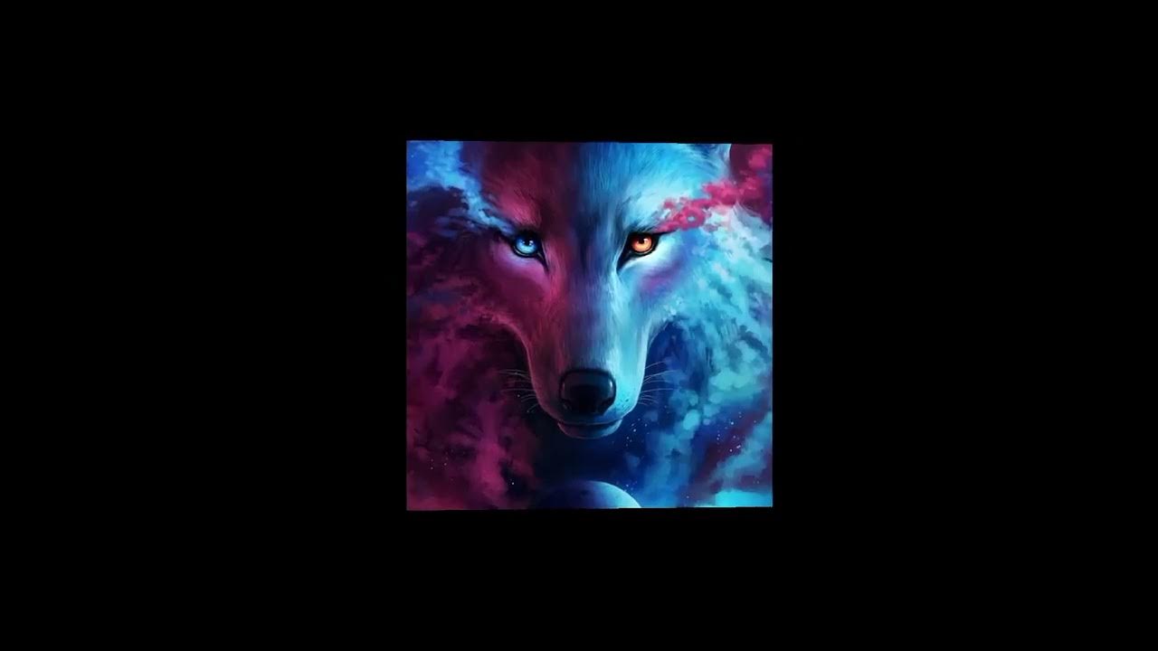 Волк 518. Wolves edit. Красивый волк. Обои на рабочий стол волк арт. Wolves edit.