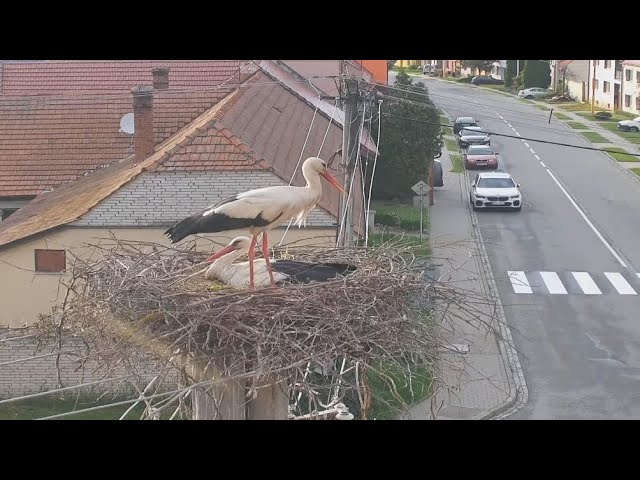 Webkamera - Podolí u Uherského Hradiště