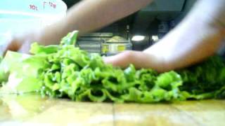 R. Head Of Leaf Lettuce Speed Test 1
