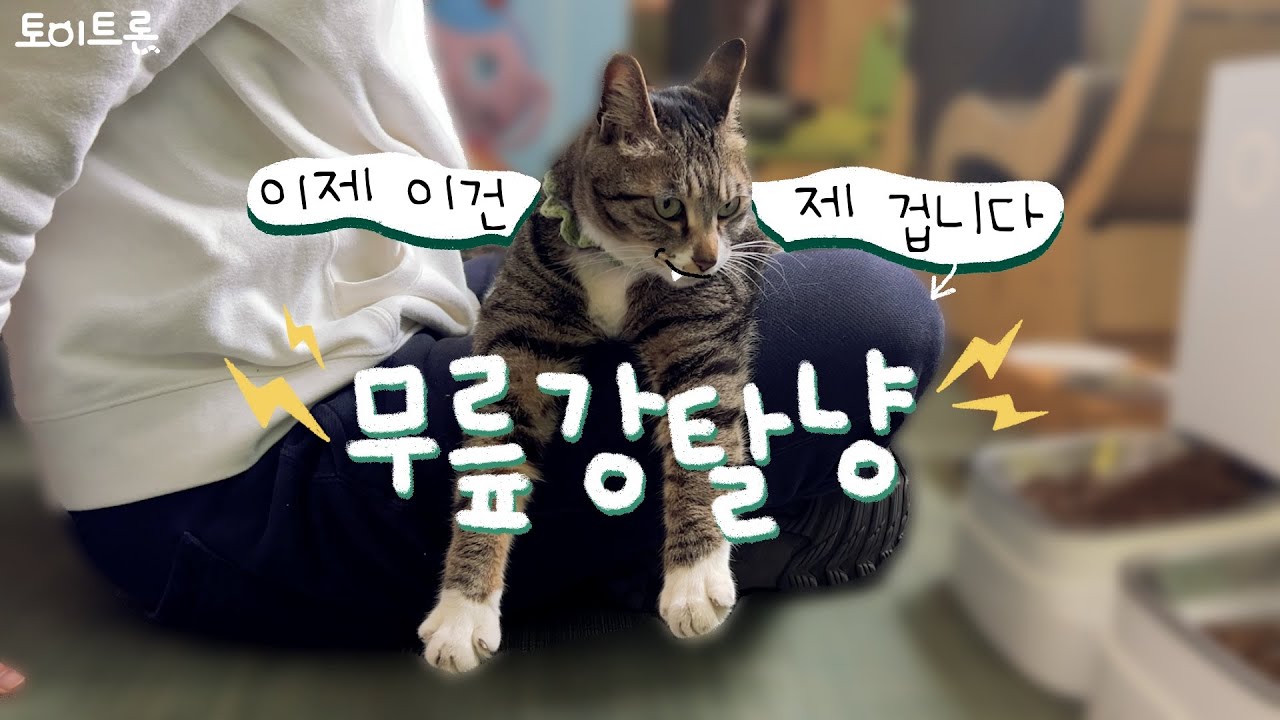 토이트론 공식 쇼핑몰