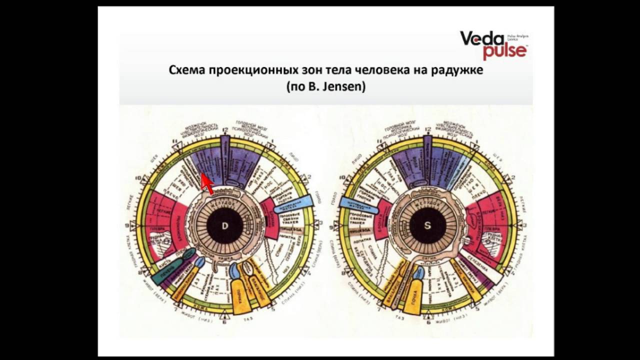 Глаза - зеркало здоровья. Иридодиагностика для всех - YouTube