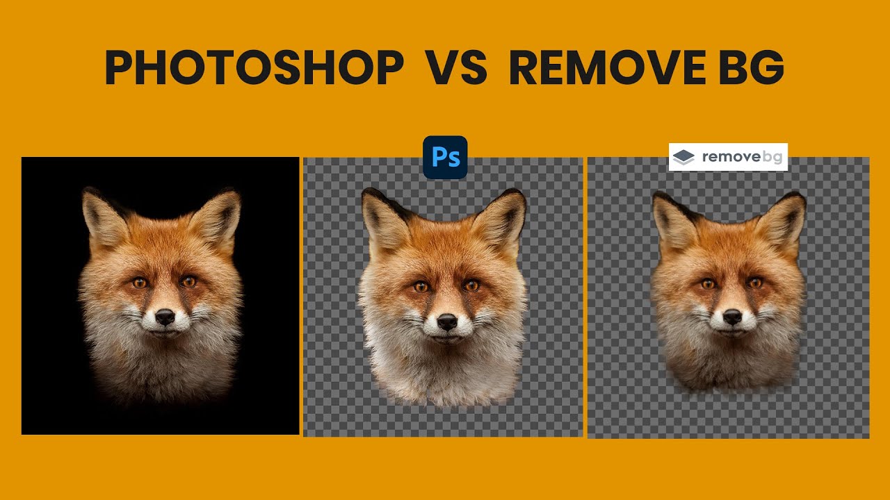 How to Remove Extremely Difficult Background Vs Remove BG