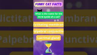 🐱 Crack the Code: Delve into the Ultimate Cat Quiz Adventure! #cat #catsarefamily #pawsomecompanions