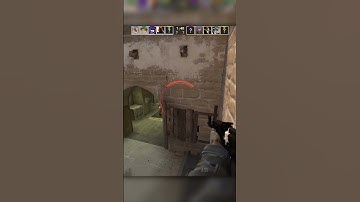 Sneaky Beaky Like! 😂🤣 #csgo #flickshots #csgoclips